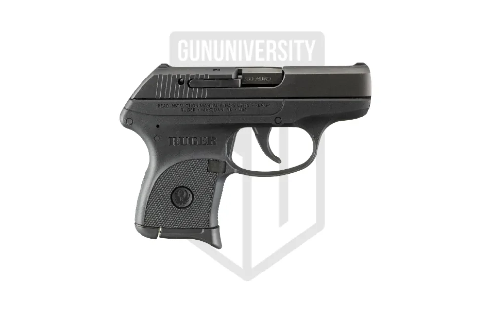 Ruger LCP Max .380 ACP - Pohled